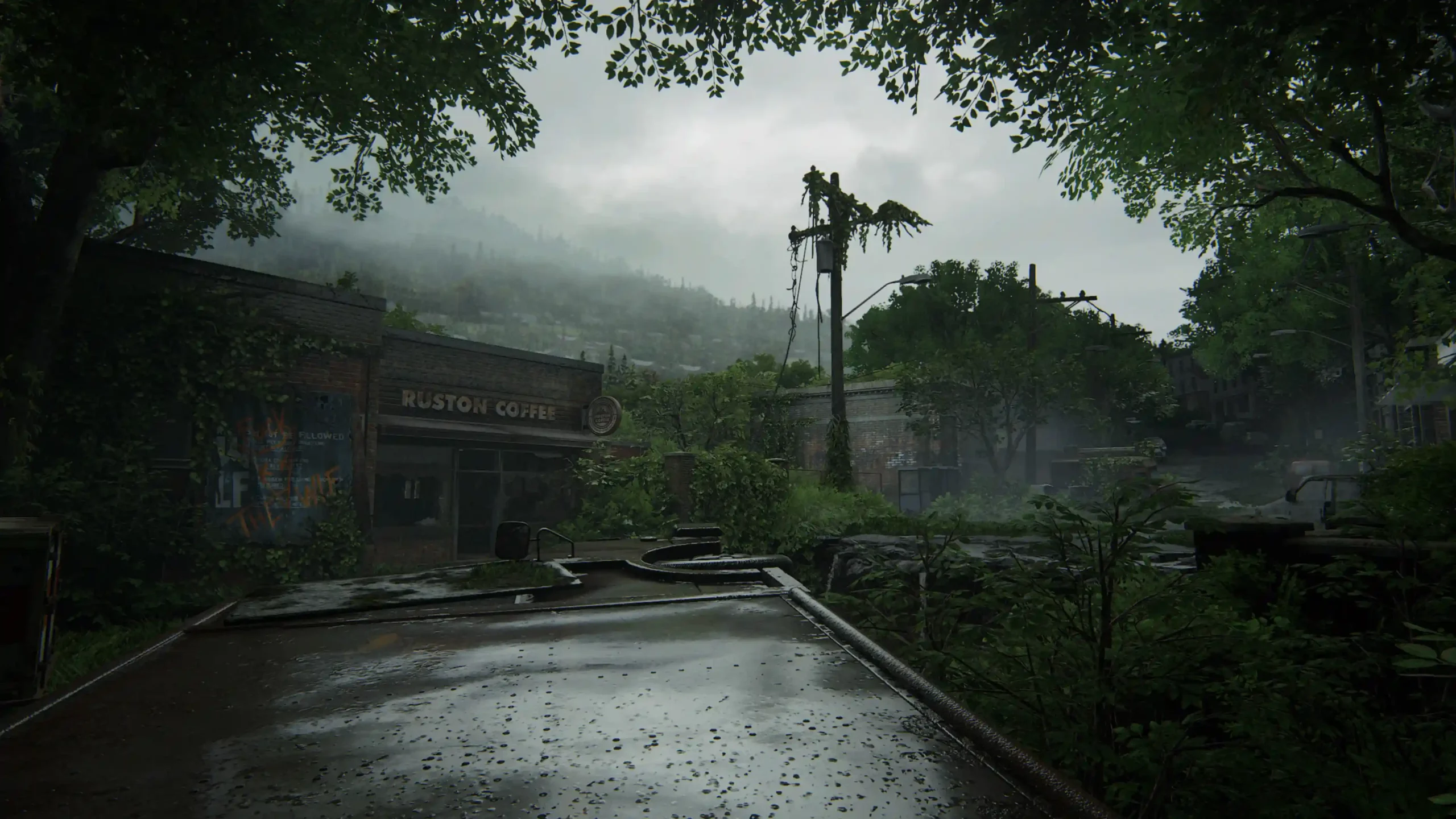 Virtual Photography by Andrés Ramírez The Last of Us Part II — Naughty Dog / PlayStation Studios
